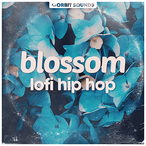 Blossom – Lofi Hip Hop Cover_500