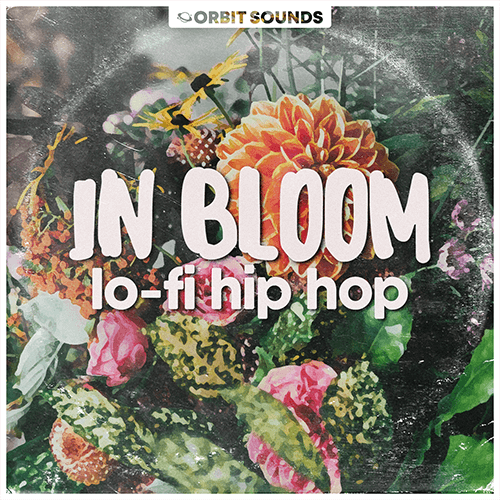 In Bloom – Lo-Fi Hip Hop Cover_500